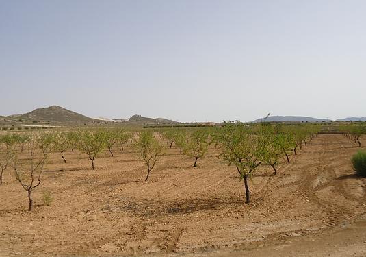 Land in Canada del Trigo