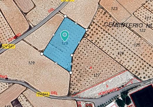 Land in Algueña