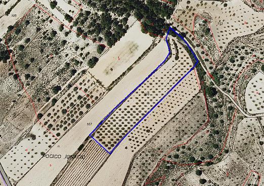 Land in Monóvar/Monóver
