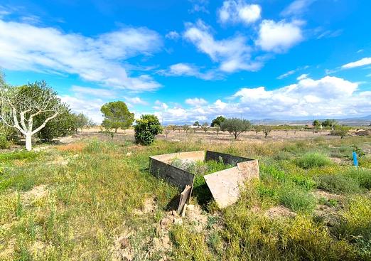 Country house in Yecla