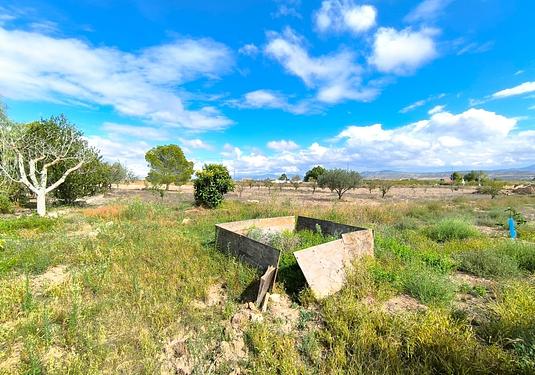Country house in Yecla