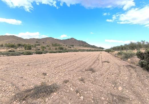 Land in Yecla