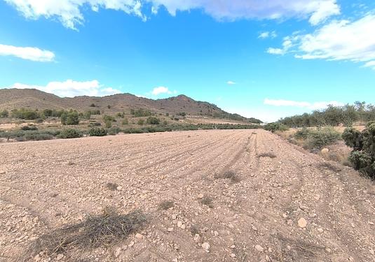 Land in Yecla