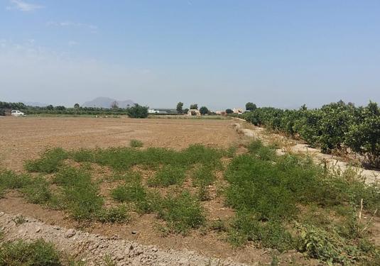 Country house in Daya Nueva