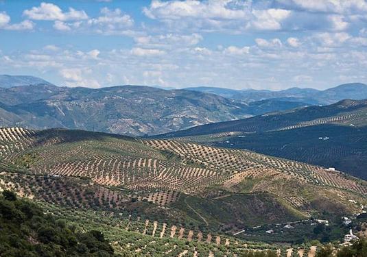 Land in Antequera