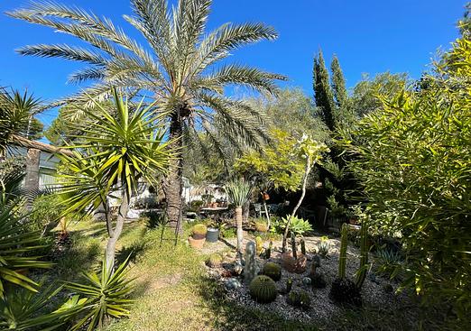 Villa in Orihuela Costa