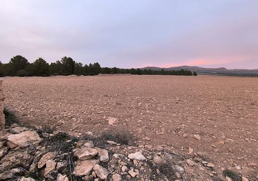 Land in Yecla