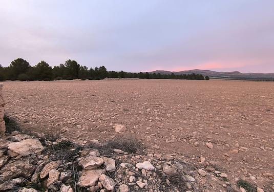 Land in Yecla