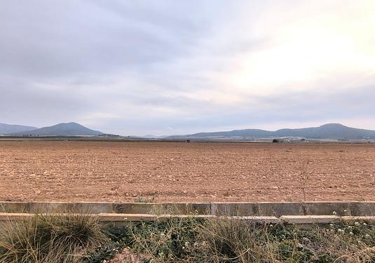 Land in Yecla