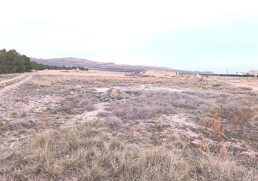Land in Yecla