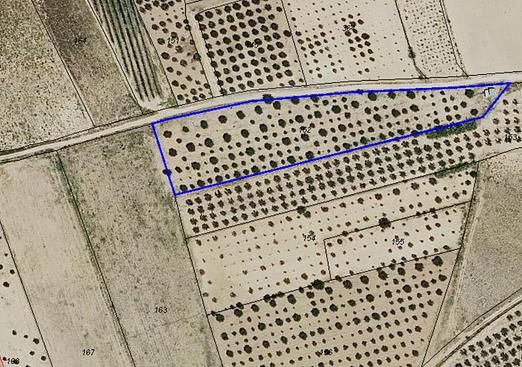 Land in Villena