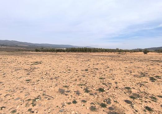 Land in Villena