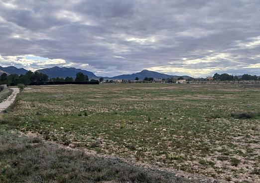 Land in Yecla