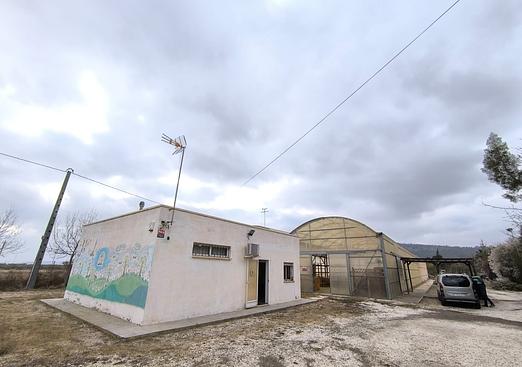 Commercial in Aspe