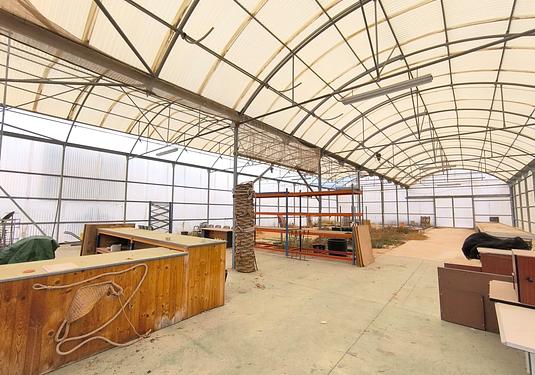 Commercial in Aspe
