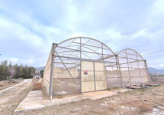Commercial in Aspe