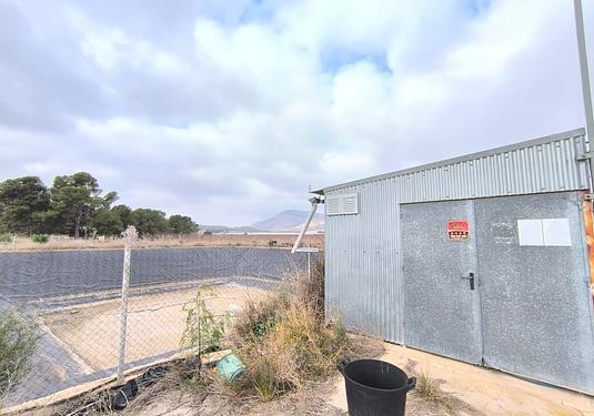 Commercial in Aspe