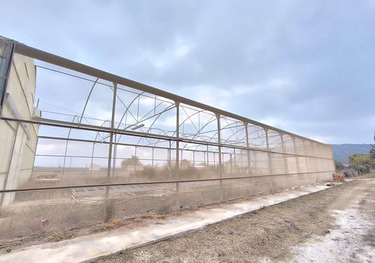 Commercial in Aspe