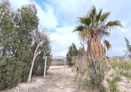 Commercial in Aspe