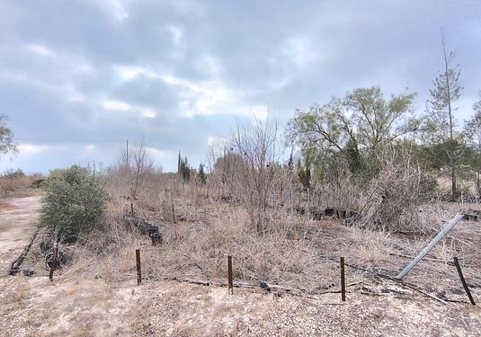 Commercial in Aspe