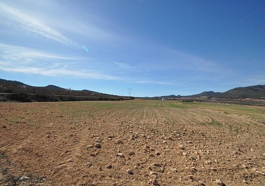 Land in Salinas