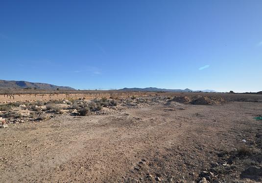 Land in Pinoso