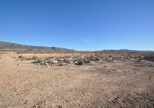 Land in Pinoso