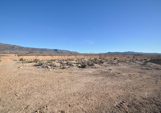 Land in Pinoso