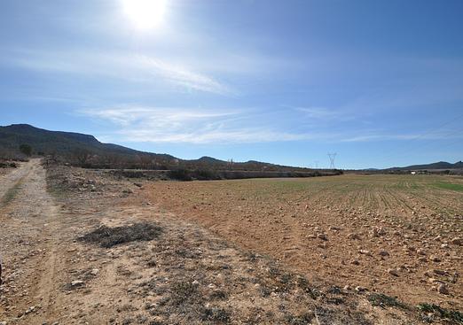 Land in Salinas