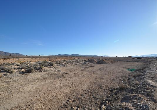 Land in Pinoso