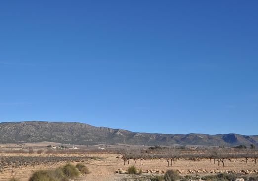 Land in Pinoso