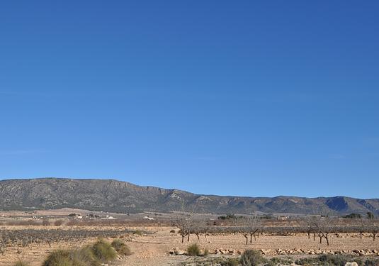Land in Pinoso