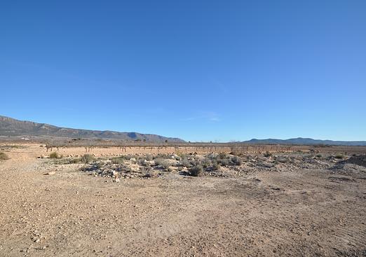 Land in Pinoso