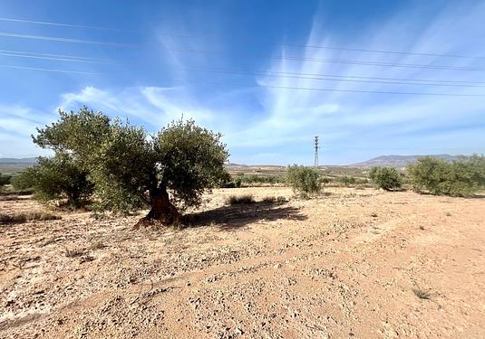 Country house in Pinoso