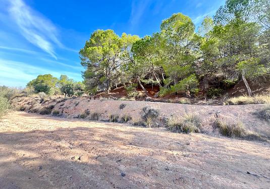 Country house in Pinoso