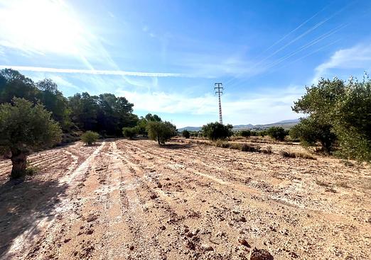Country house in Pinoso