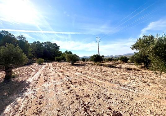 Country house in Pinoso