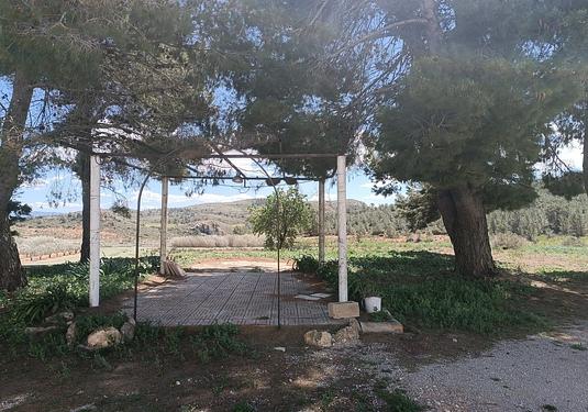 Property in Yecla