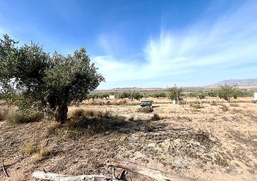 Country house in Pinoso