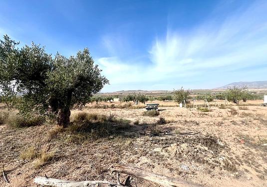 Country house in Pinoso