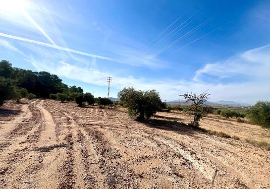 Country house in Pinoso