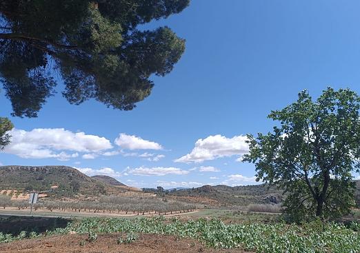 Property in Yecla