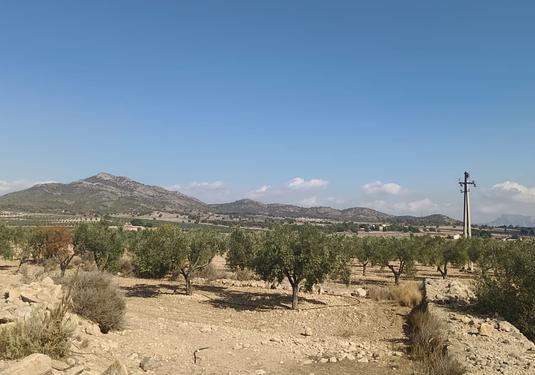 Land in Salinas