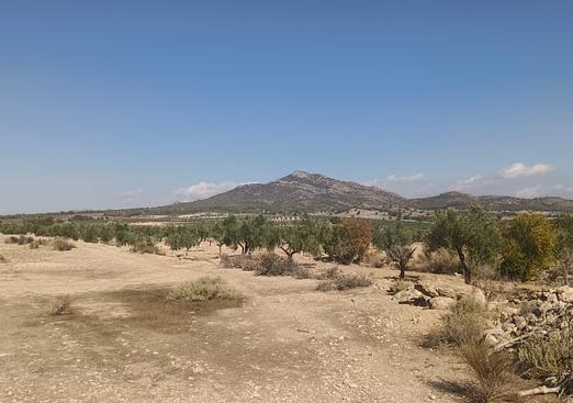Land in Salinas
