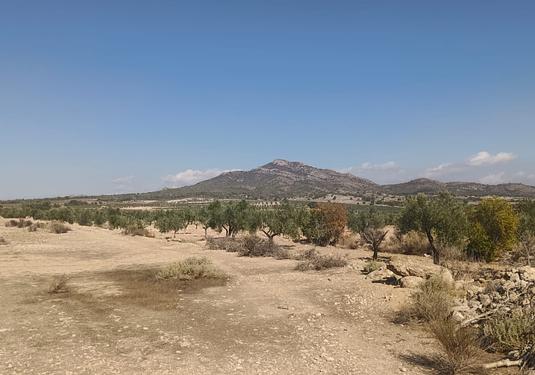 Land in Salinas