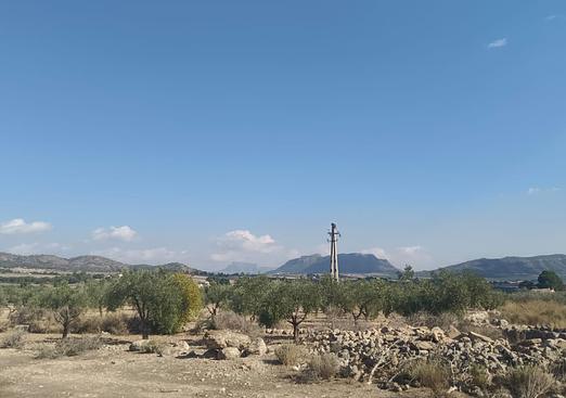 Land in Salinas