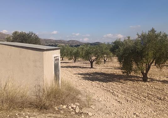 Land in Salinas