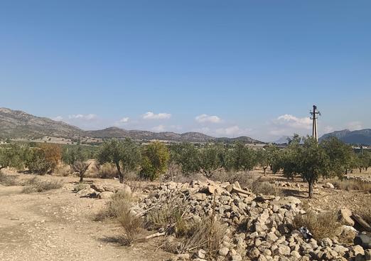 Land in Salinas