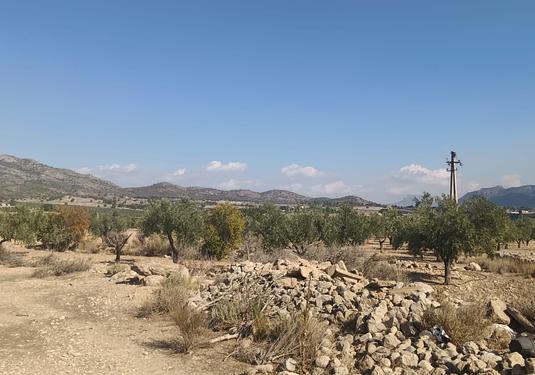 Land in Salinas