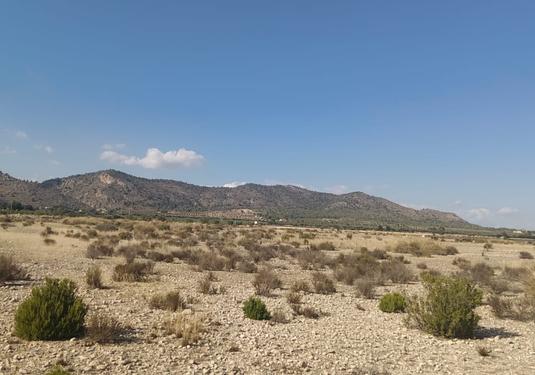 Land in Salinas